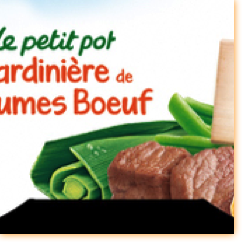 Futurebrand / Blédina Futurebrand / Blédina